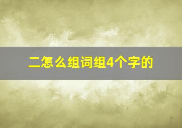 二怎么组词组4个字的