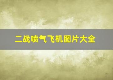 二战喷气飞机图片大全