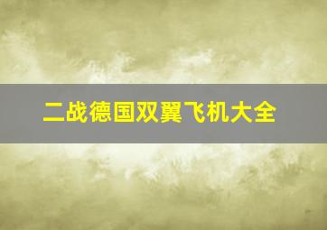 二战德国双翼飞机大全