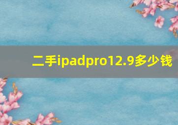 二手ipadpro12.9多少钱