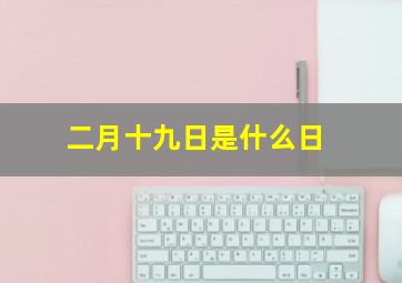 二月十九日是什么日