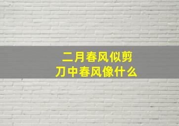 二月春风似剪刀中春风像什么