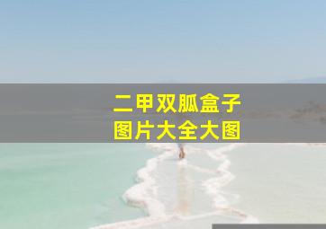 二甲双胍盒子图片大全大图