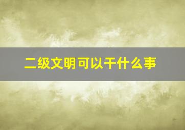 二级文明可以干什么事