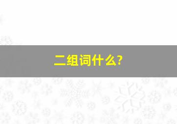 二组词什么?