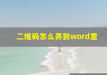 二维码怎么弄到word里