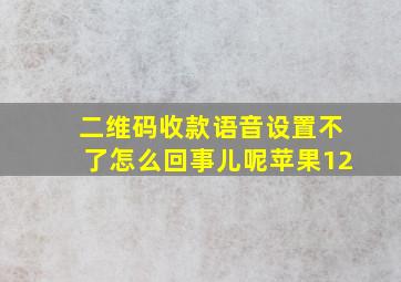 二维码收款语音设置不了怎么回事儿呢苹果12