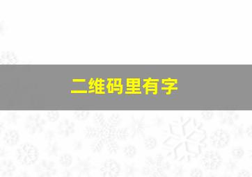 二维码里有字