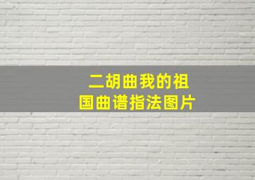 二胡曲我的祖国曲谱指法图片