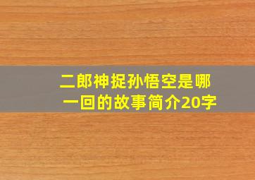 二郎神捉孙悟空是哪一回的故事简介20字