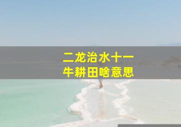 二龙治水十一牛耕田啥意思