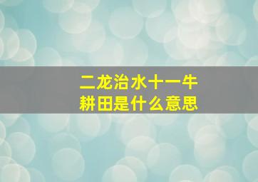 二龙治水十一牛耕田是什么意思