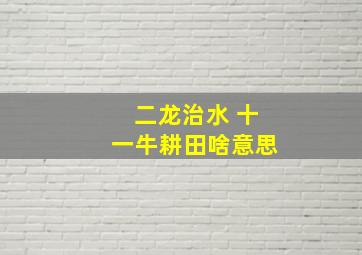 二龙治水 十一牛耕田啥意思