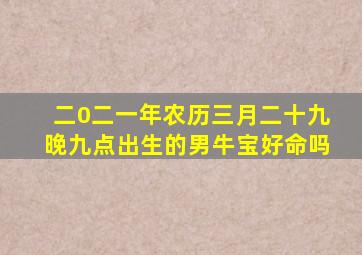 二0二一年农历三月二十九晚九点出生的男牛宝好命吗