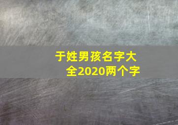 于姓男孩名字大全2020两个字