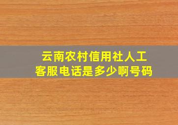 云南农村信用社人工客服电话是多少啊号码