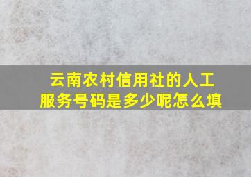 云南农村信用社的人工服务号码是多少呢怎么填