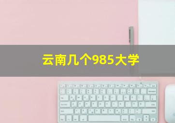 云南几个985大学