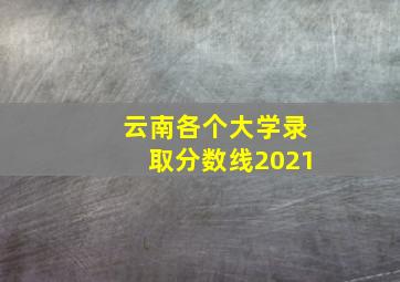 云南各个大学录取分数线2021