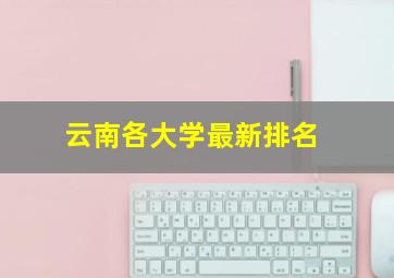 云南各大学最新排名