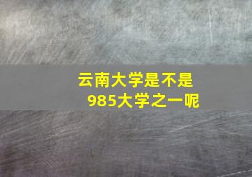 云南大学是不是985大学之一呢