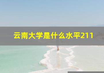 云南大学是什么水平211