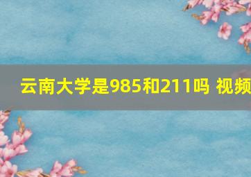 云南大学是985和211吗 视频