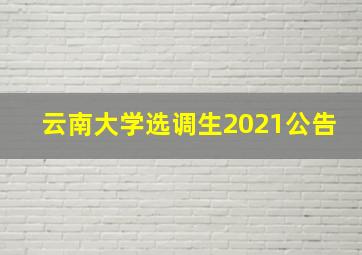 云南大学选调生2021公告