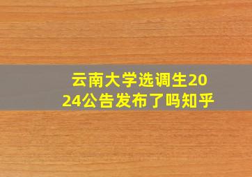 云南大学选调生2024公告发布了吗知乎