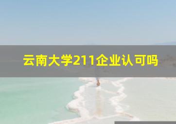 云南大学211企业认可吗