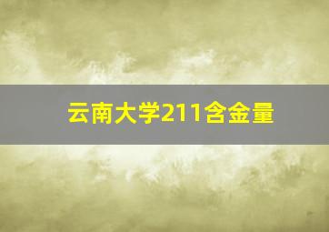 云南大学211含金量