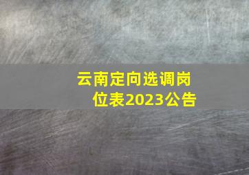 云南定向选调岗位表2023公告