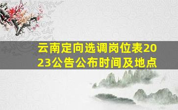 云南定向选调岗位表2023公告公布时间及地点