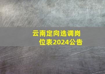 云南定向选调岗位表2024公告