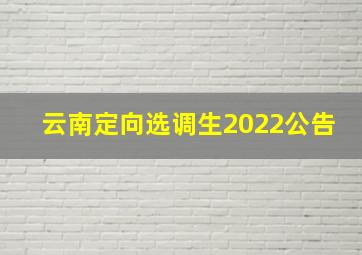 云南定向选调生2022公告