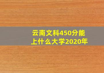 云南文科450分能上什么大学2020年