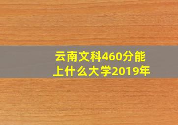 云南文科460分能上什么大学2019年