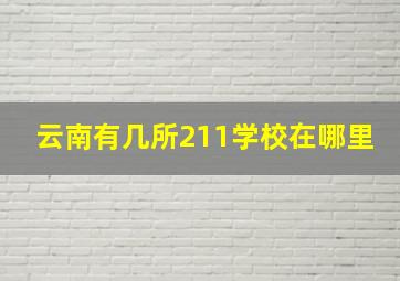 云南有几所211学校在哪里