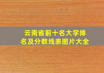 云南省前十名大学排名及分数线表图片大全