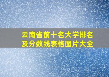 云南省前十名大学排名及分数线表格图片大全