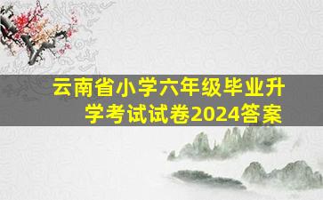 云南省小学六年级毕业升学考试试卷2024答案