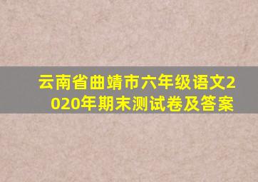 云南省曲靖市六年级语文2020年期末测试卷及答案