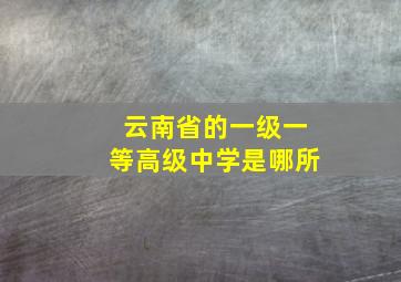 云南省的一级一等高级中学是哪所