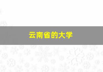 云南省的大学