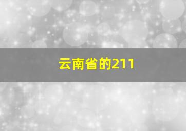 云南省的211