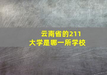 云南省的211大学是哪一所学校