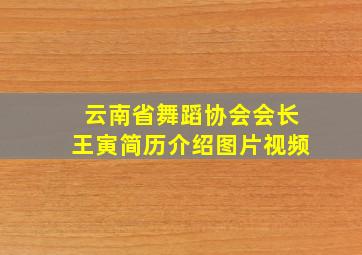 云南省舞蹈协会会长王寅简历介绍图片视频