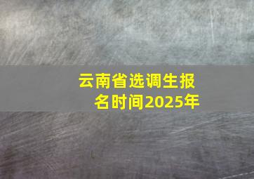 云南省选调生报名时间2025年