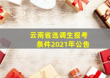 云南省选调生报考条件2021年公告