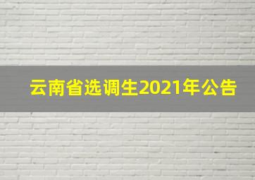 云南省选调生2021年公告